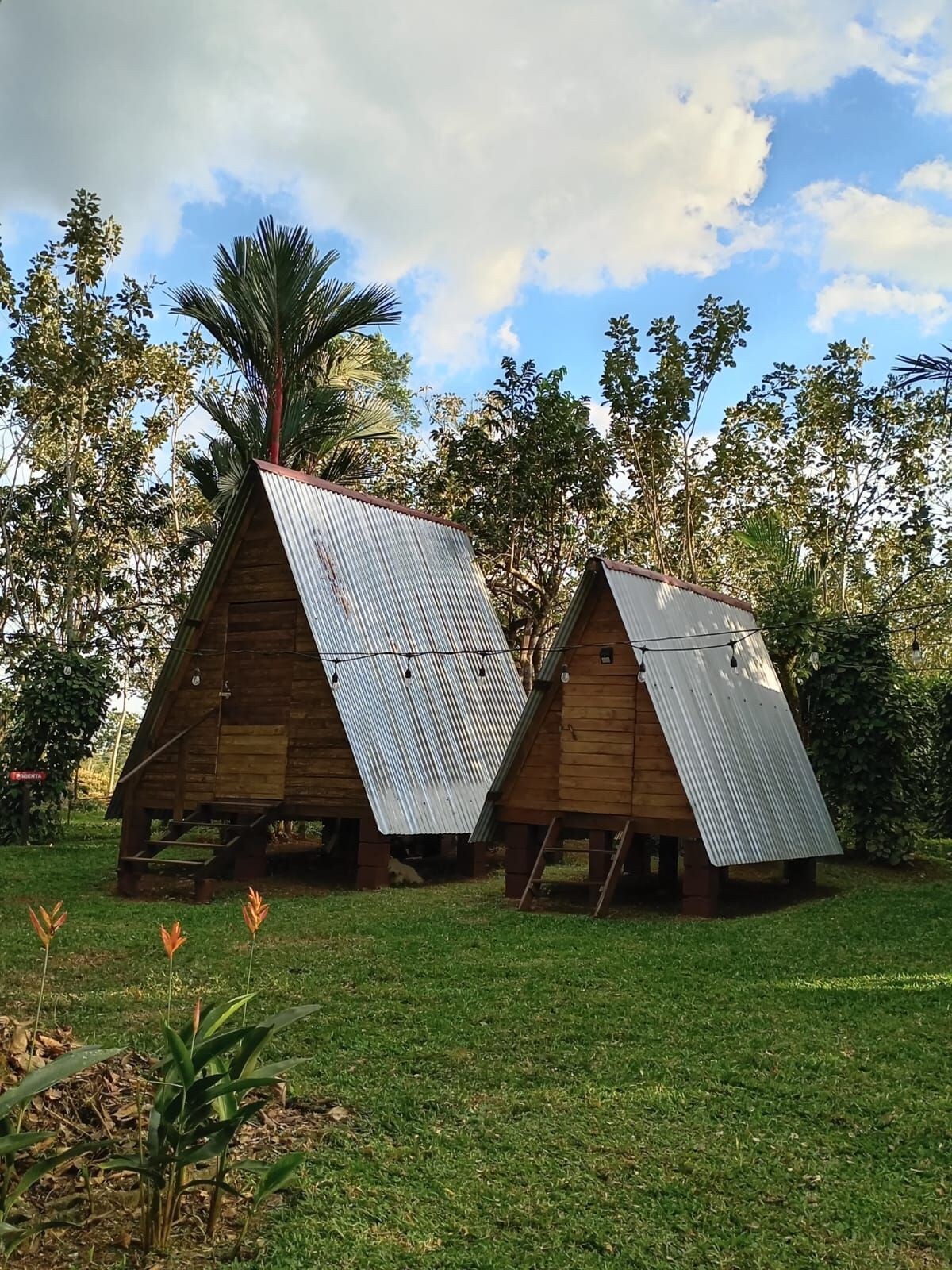 Cabinas y camping nómada verde