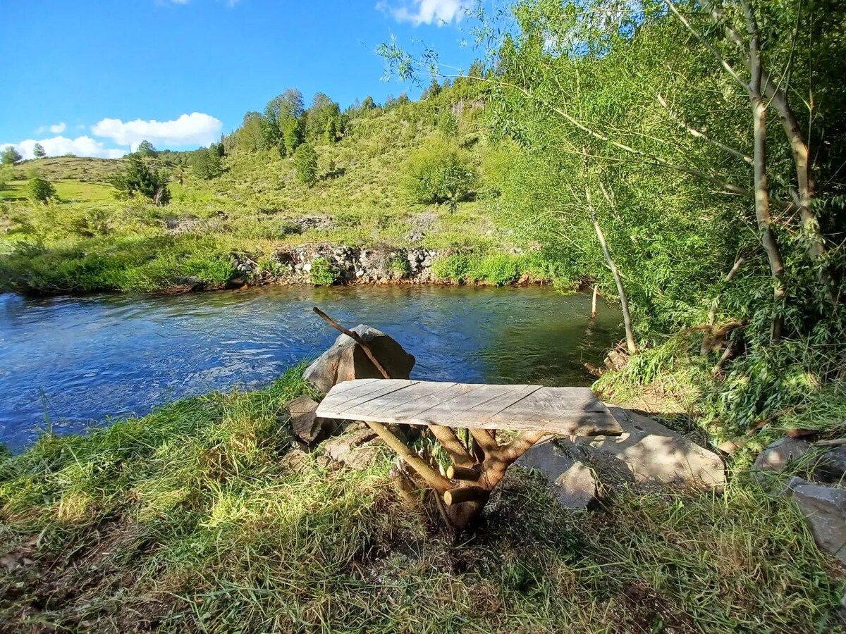 Cabaña+Camping.

Entorno Familiar.

Naturaleza.