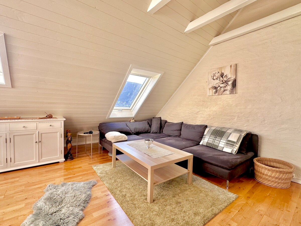 舒适的卑尔根房屋可欣赏风景的独立房间