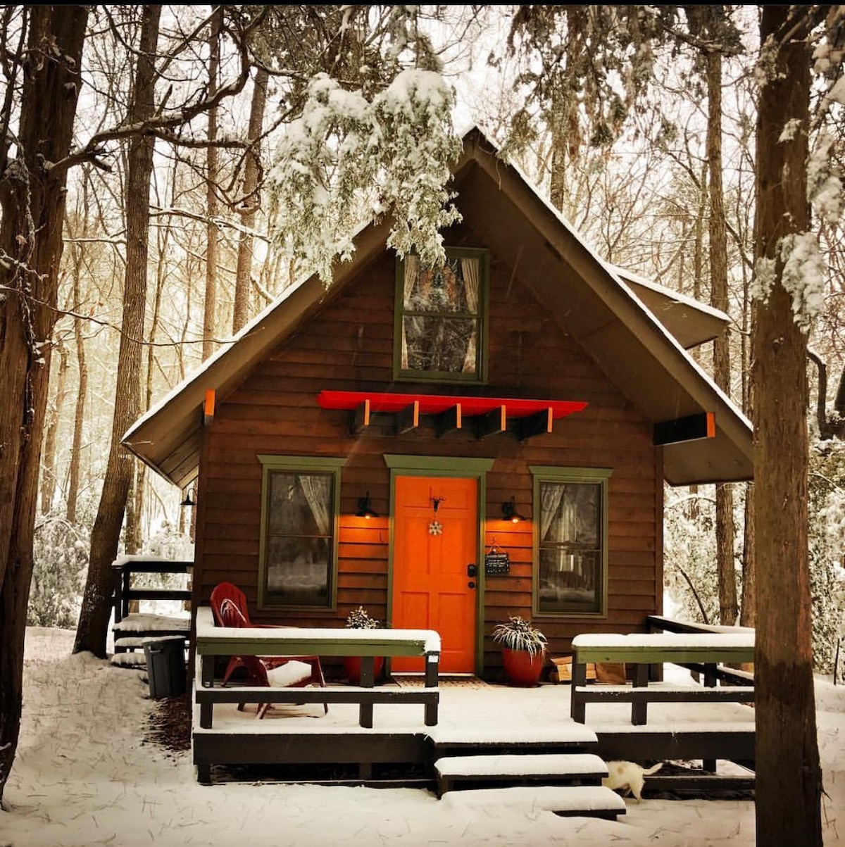 Cute Cabin in the woods close to Jordan Lake