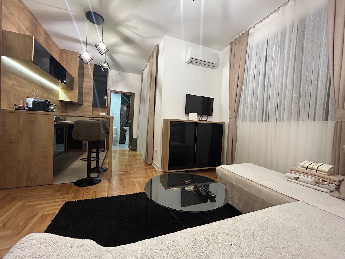 Apartman Podgorica studio