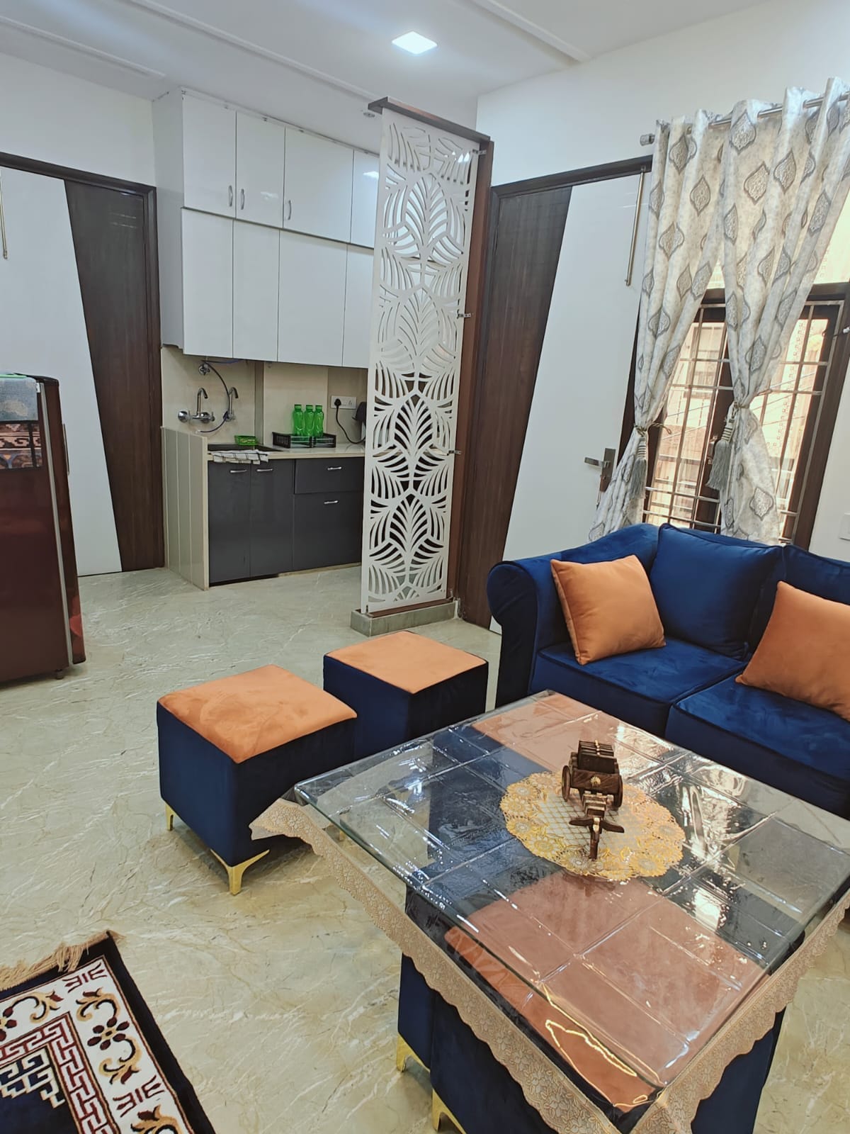 Comfortable & luxury stay in New Delhi (Rohini)
