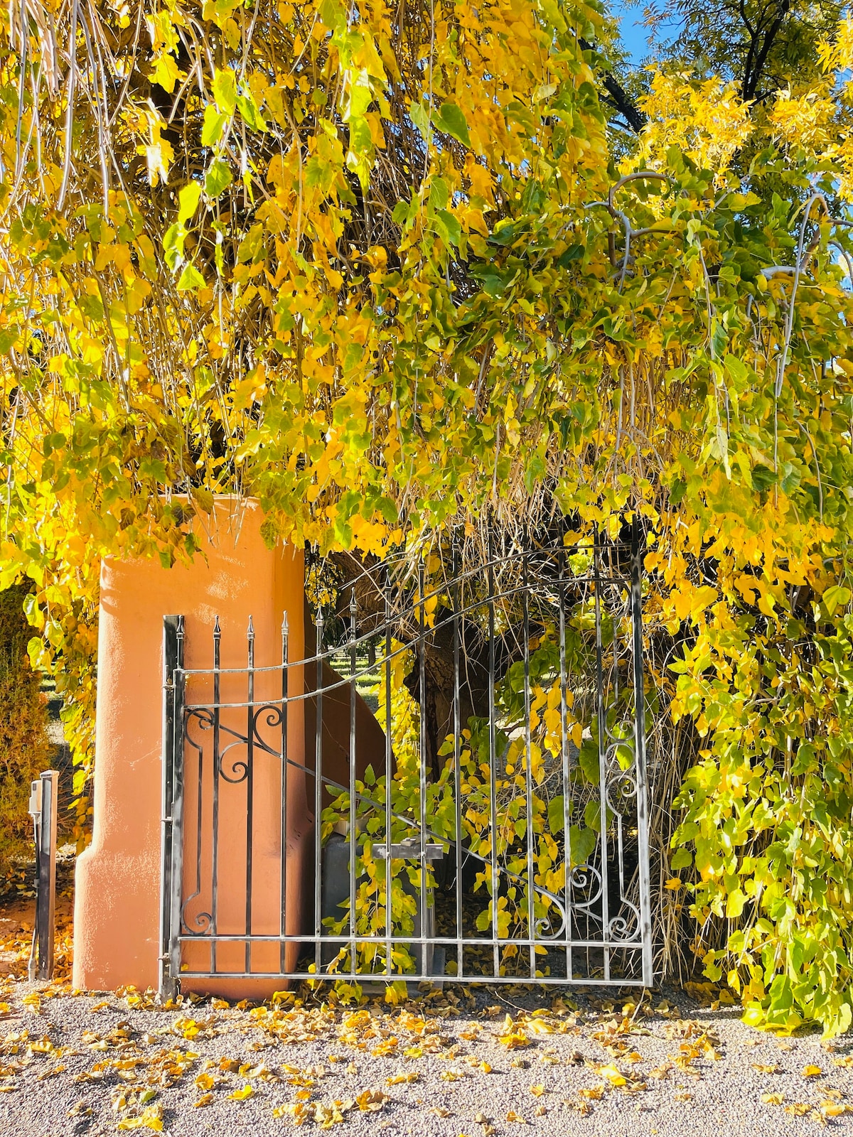 Hacienda on a Pecan Orchard - "Canyon's Orchard"