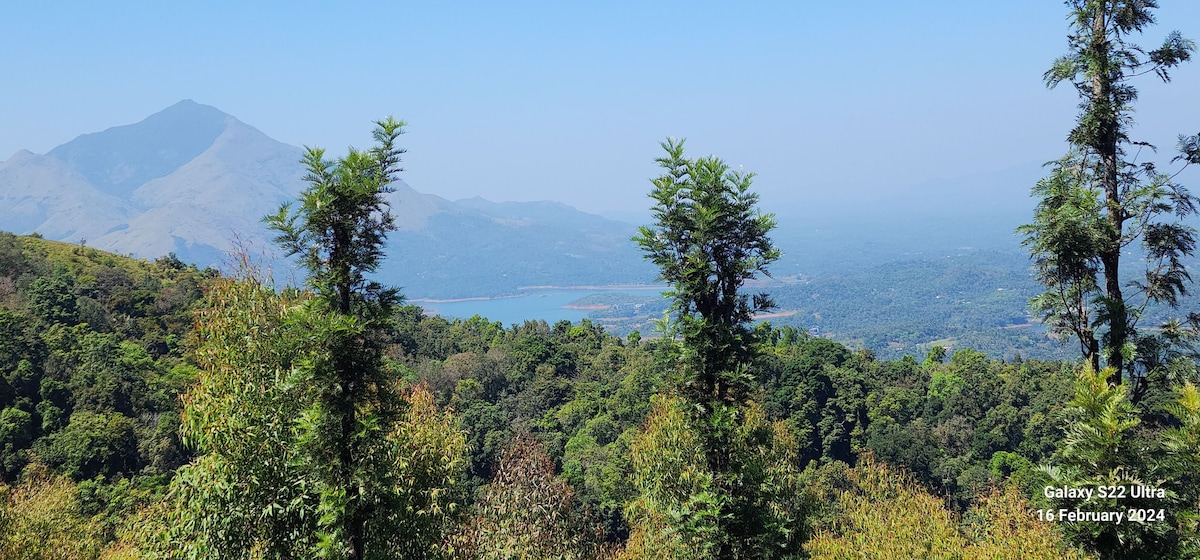 Vythiri Tea Valley