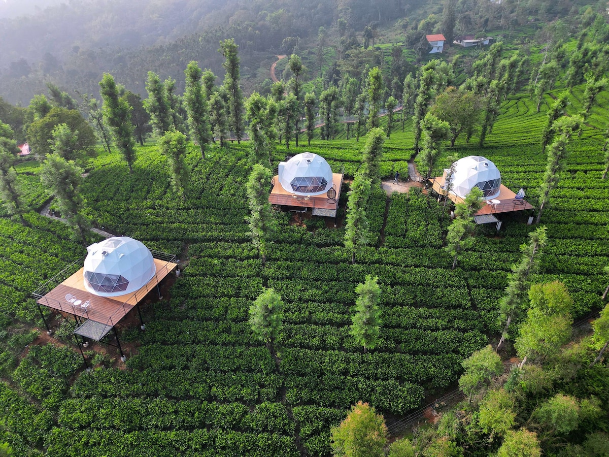 Vythiri Tea Valley