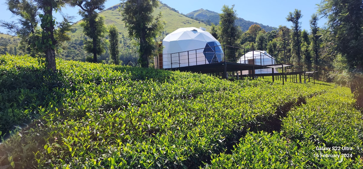 Vythiri Tea Valley