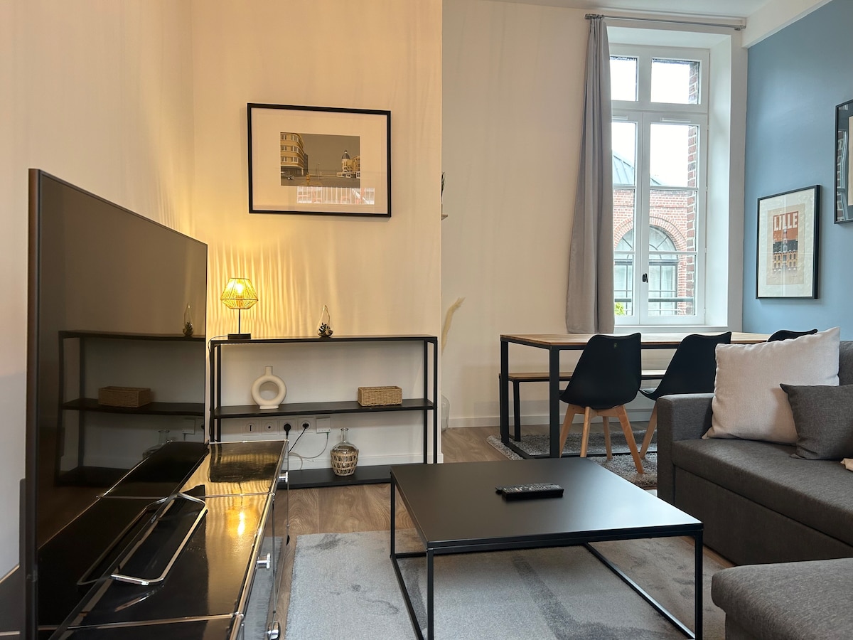 Vieux-Lille翻修的单卧室公寓