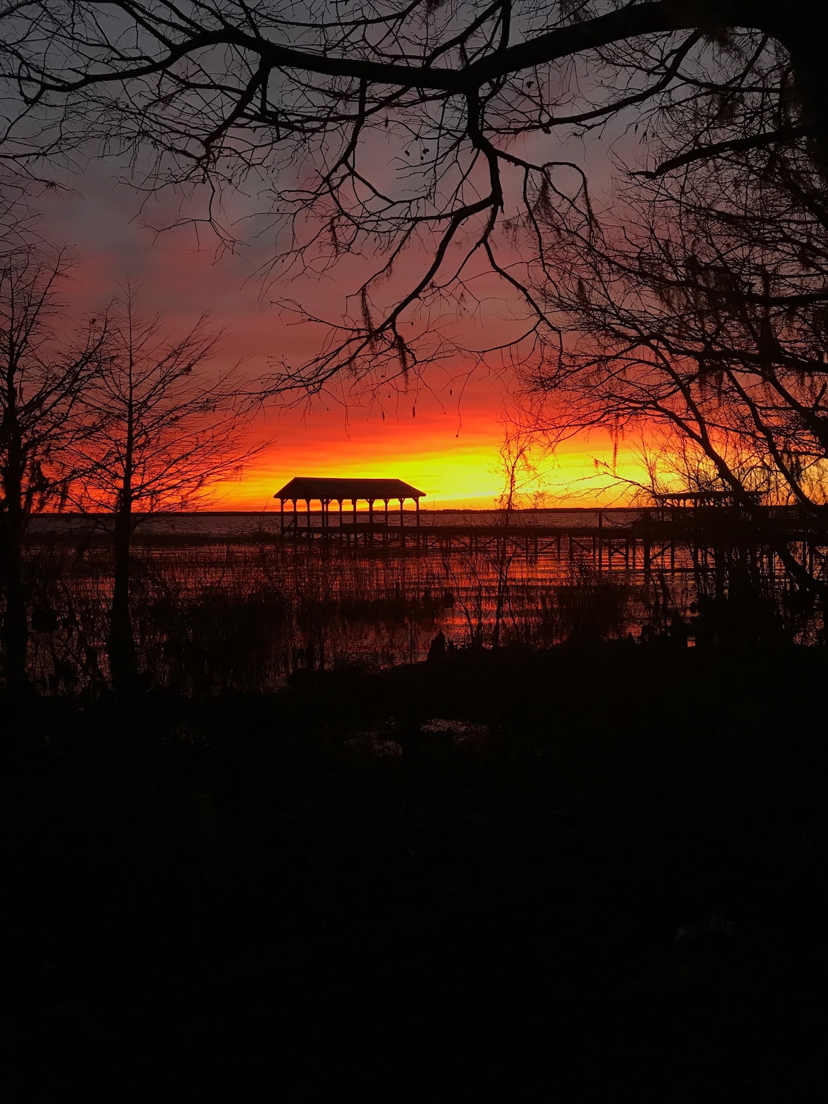 Lake Life @Waccamaw