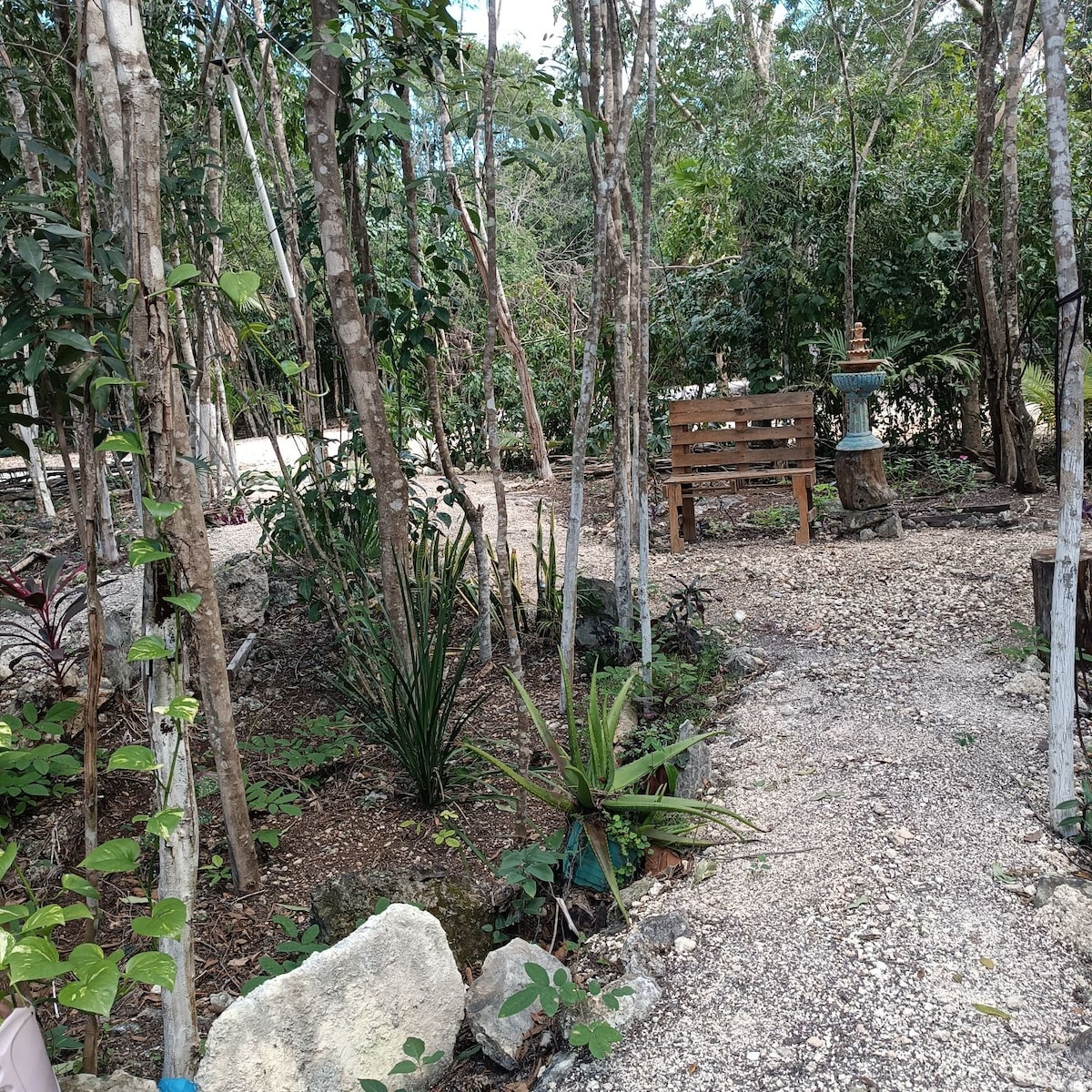 casa de campo, leona vicario, Puerto Morelos.