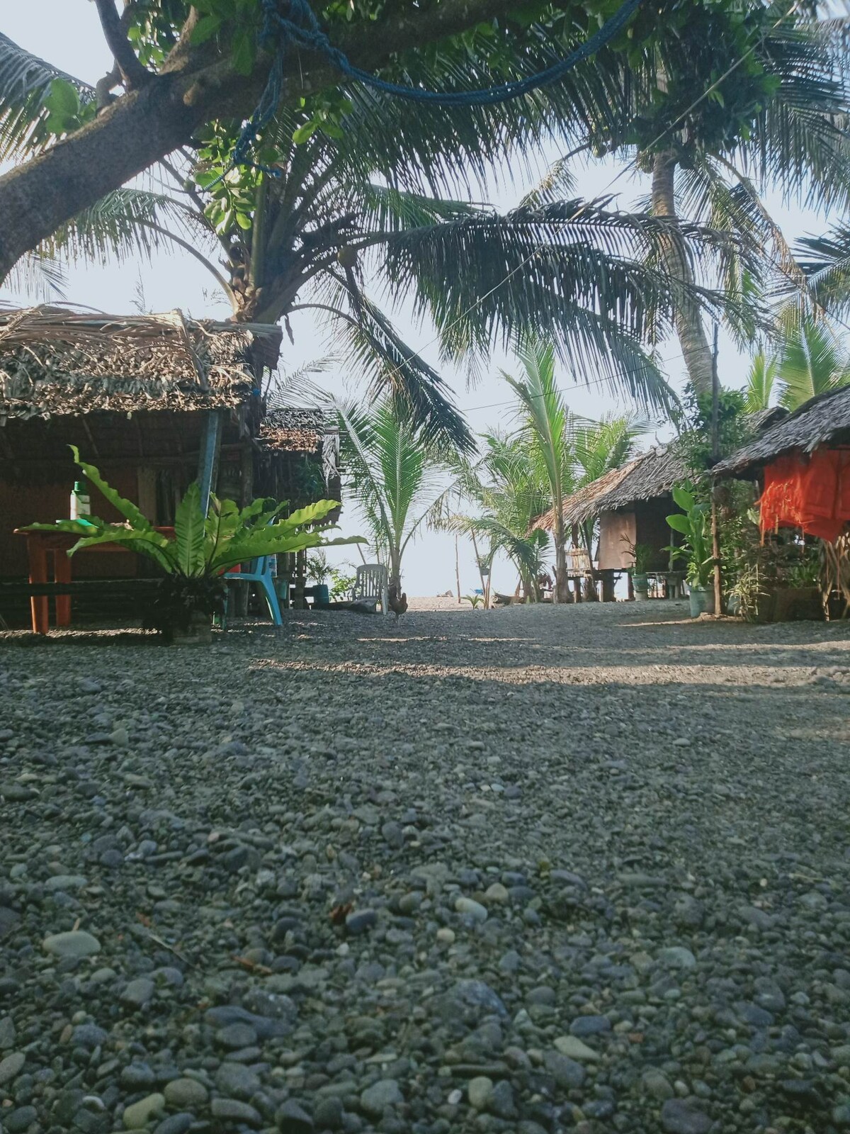coconut resort