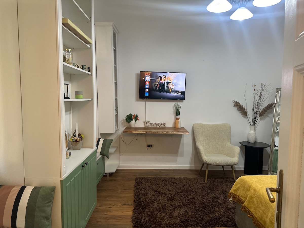 Apartament central cu o cameră