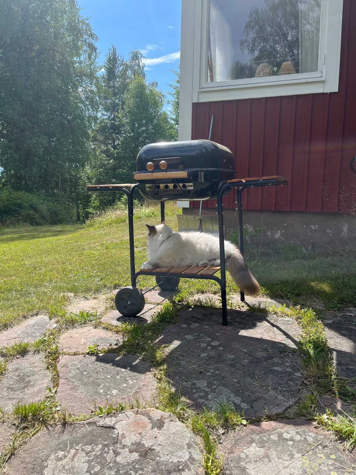 Enskilt hus i närheten av Mora