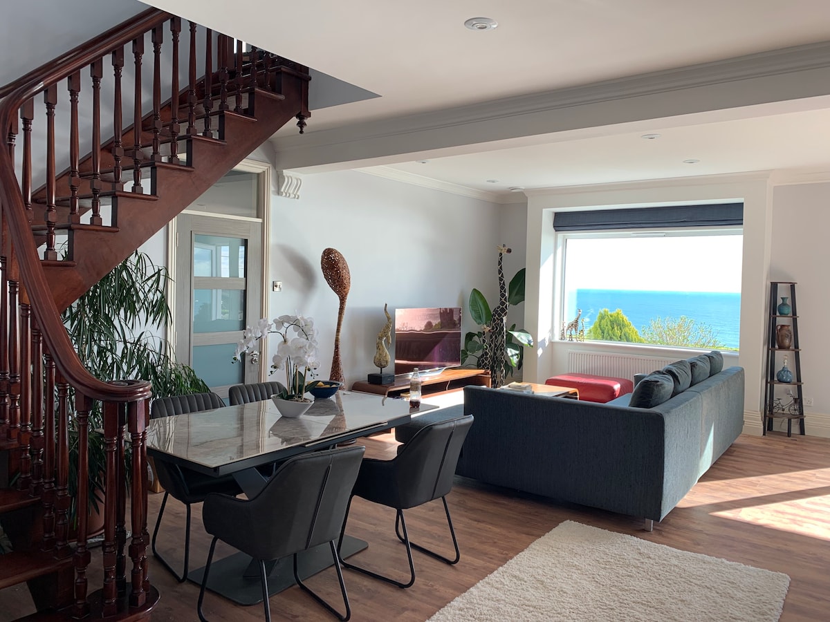Luxury Oceanfront House