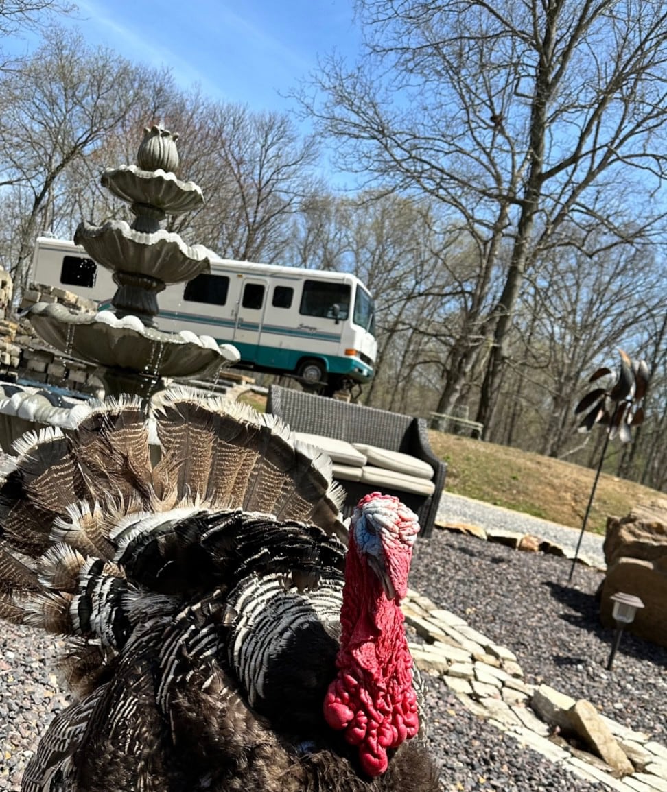 Class A RV fully setup on our 50 acre farm