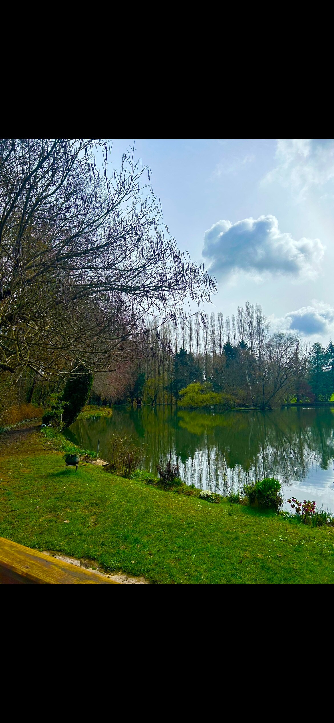 Châlet avec étang et sous bois