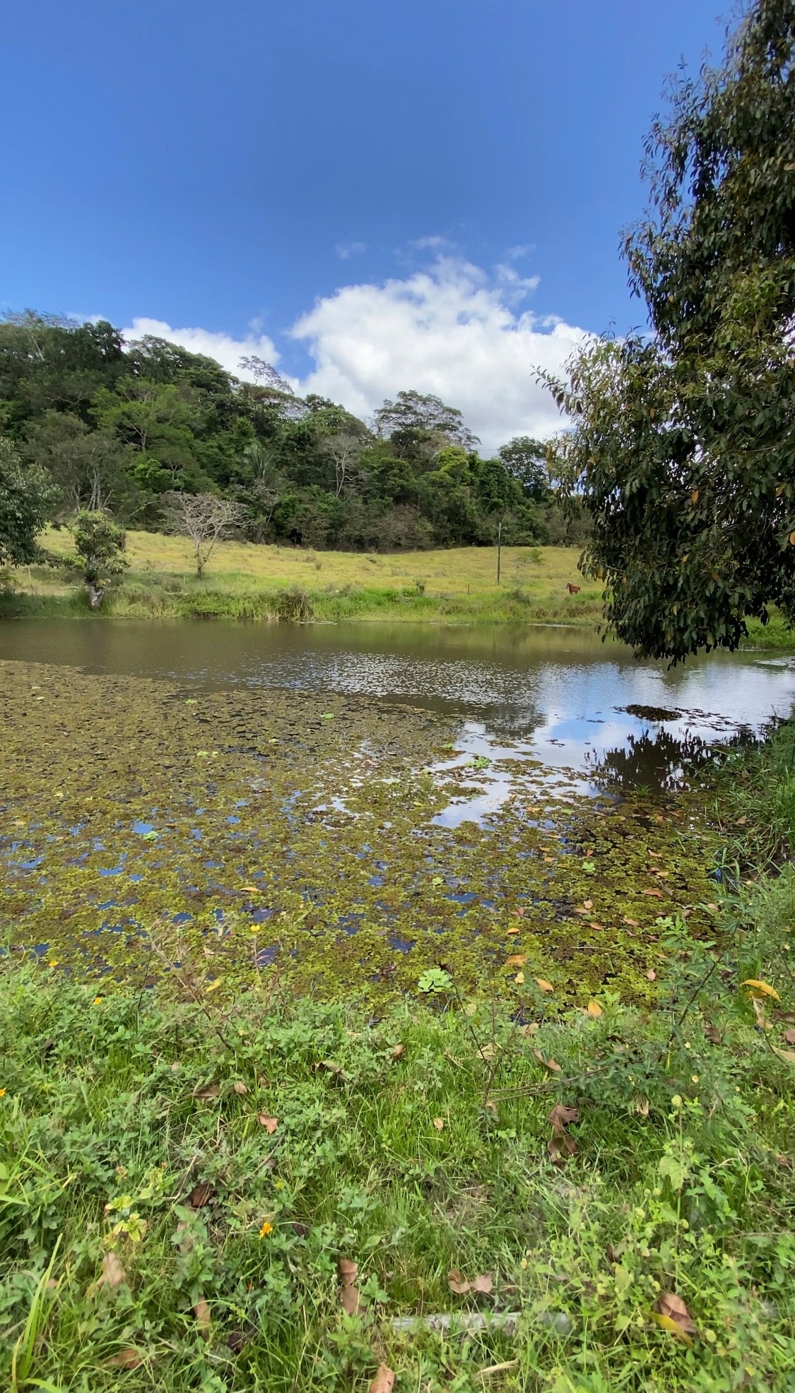 Casa de Campo, paz na natureza.