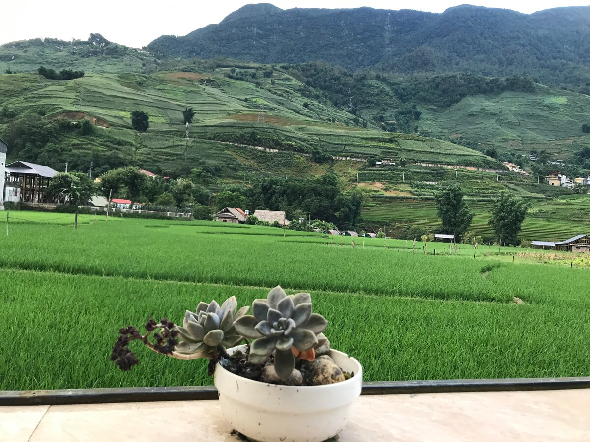 Private room at terraced field