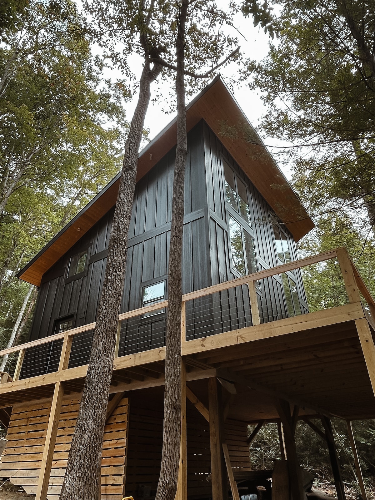 高利河树屋（ The Gauley River Treehouse ）