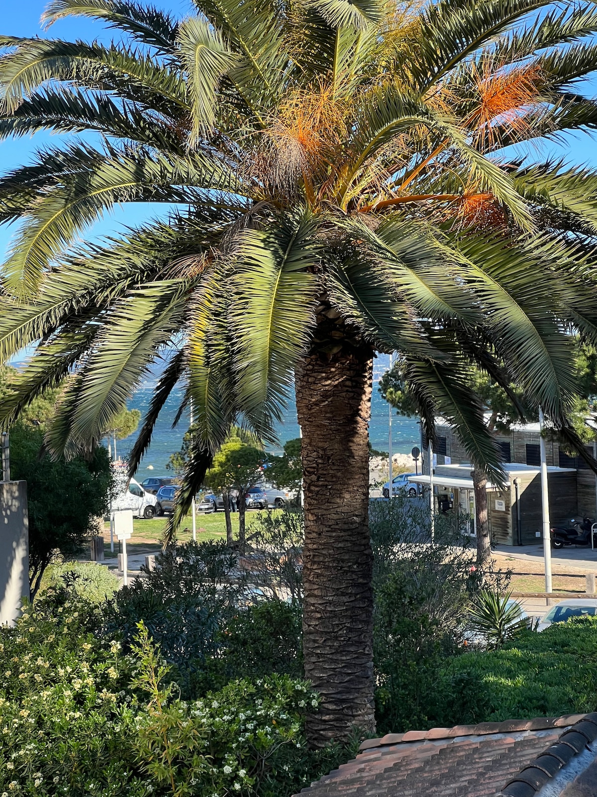 Maison du pêcheur en bord de mer, jardin + parking