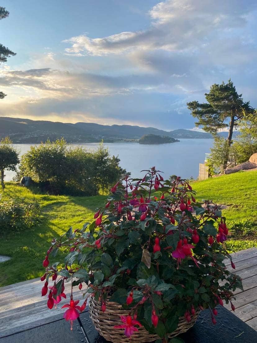 Charming cabin with a view 1 hour from Oslo