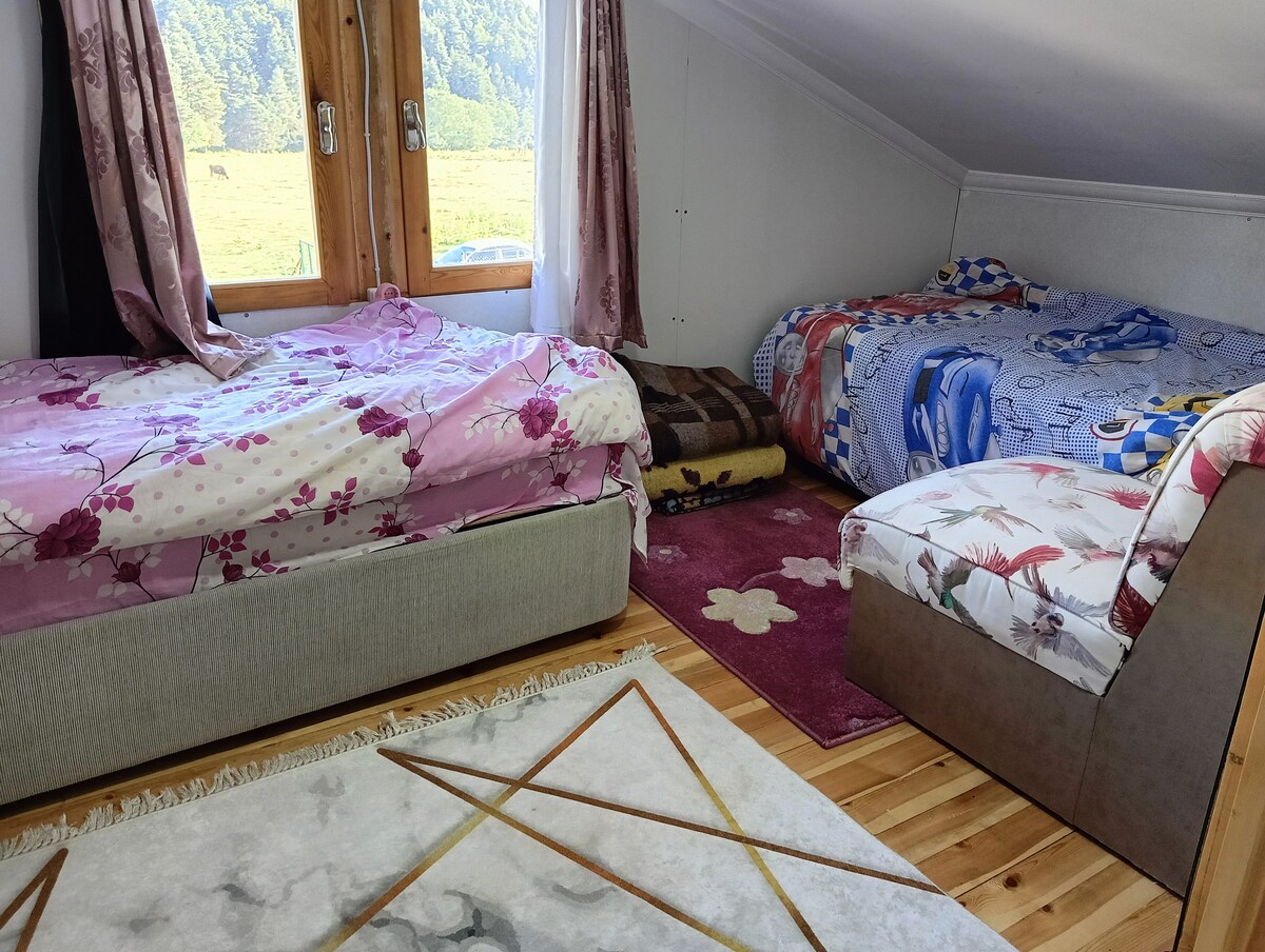 Bolu dağ evi wifi mevcut 14 yataklı