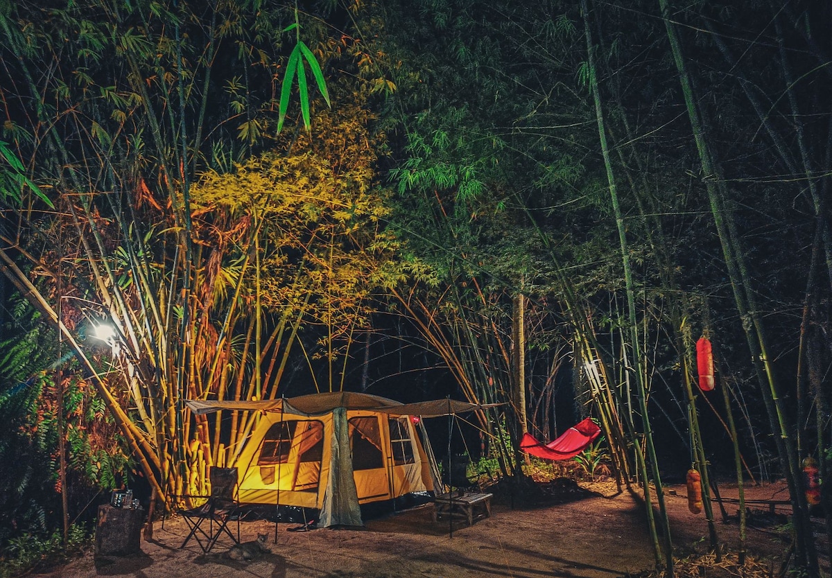 Local style camping, relax & chill with nature T2