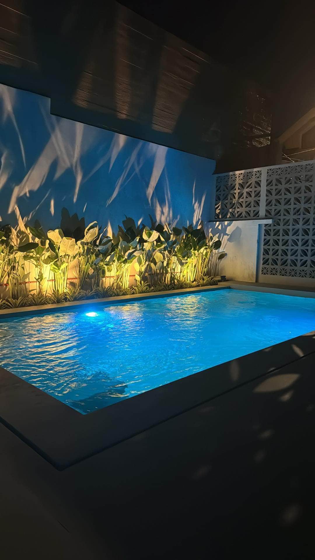 Garden Pool Villa in Makati Netflix Karaoke