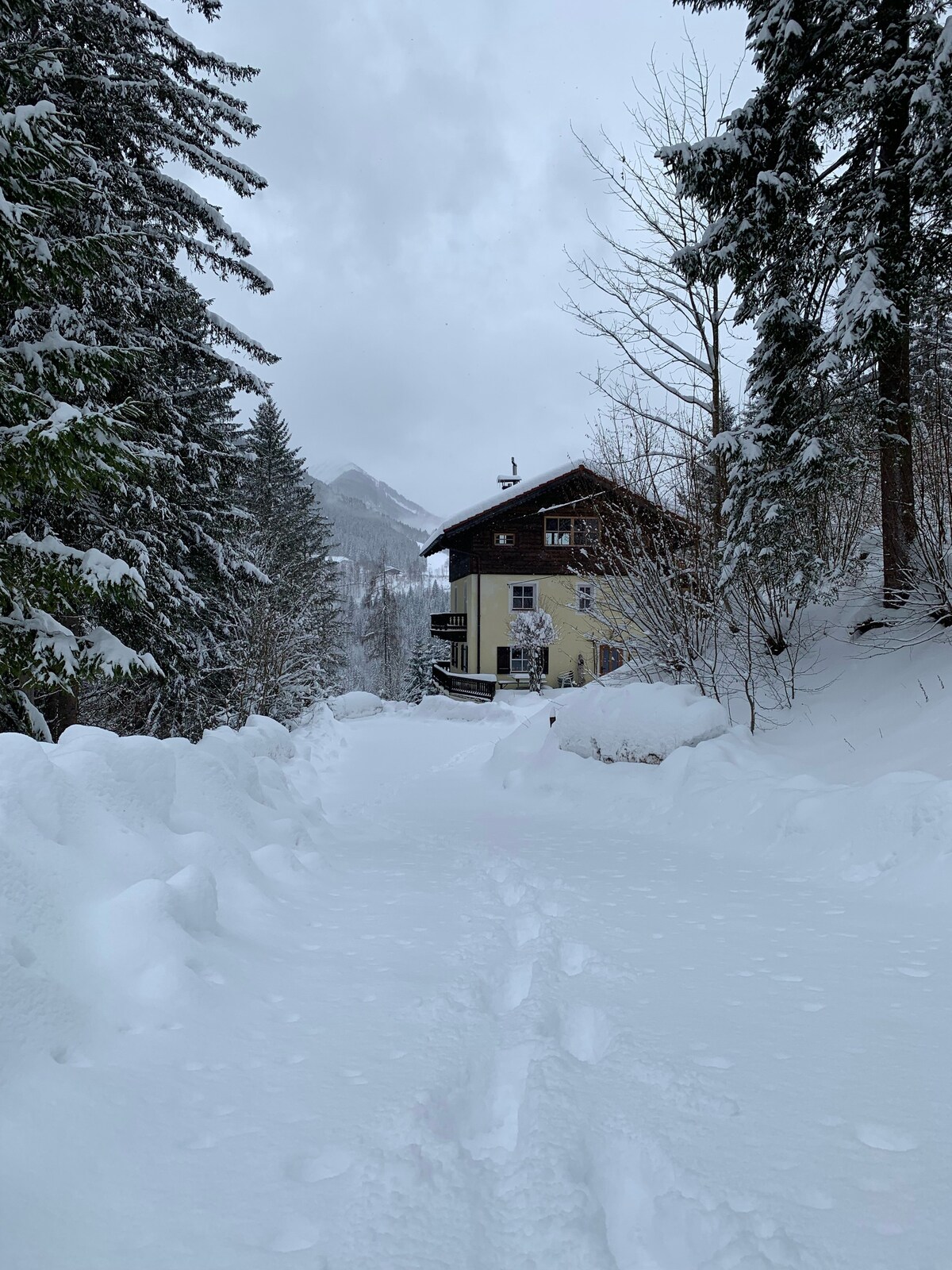 Häuschen im Wald