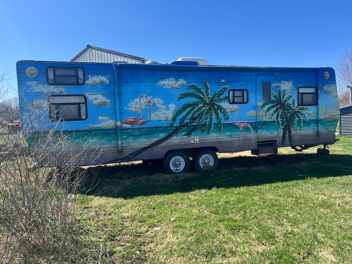 Clean camper and comfortable bed