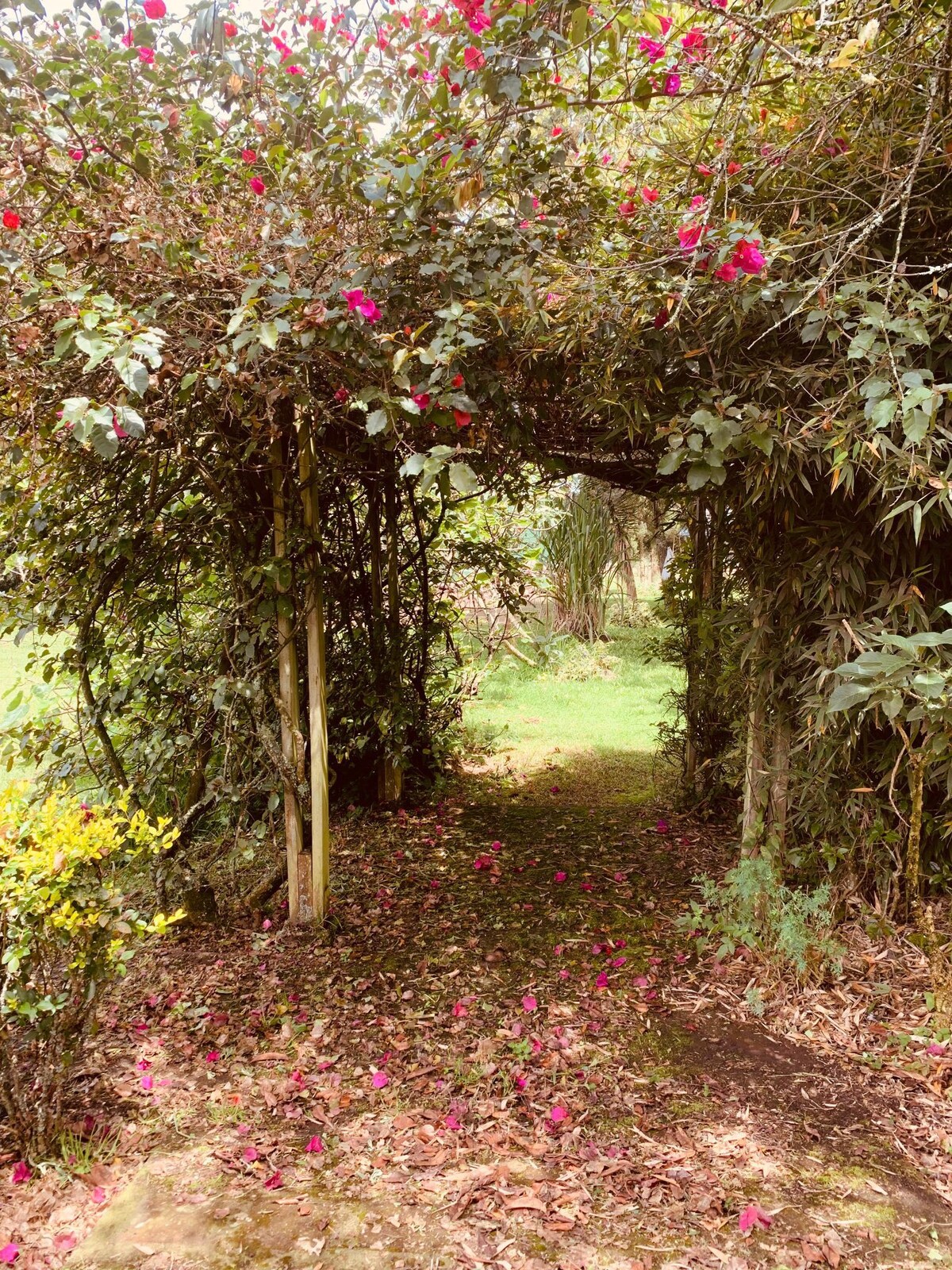 Maravillosa Quinta en Sangolquí