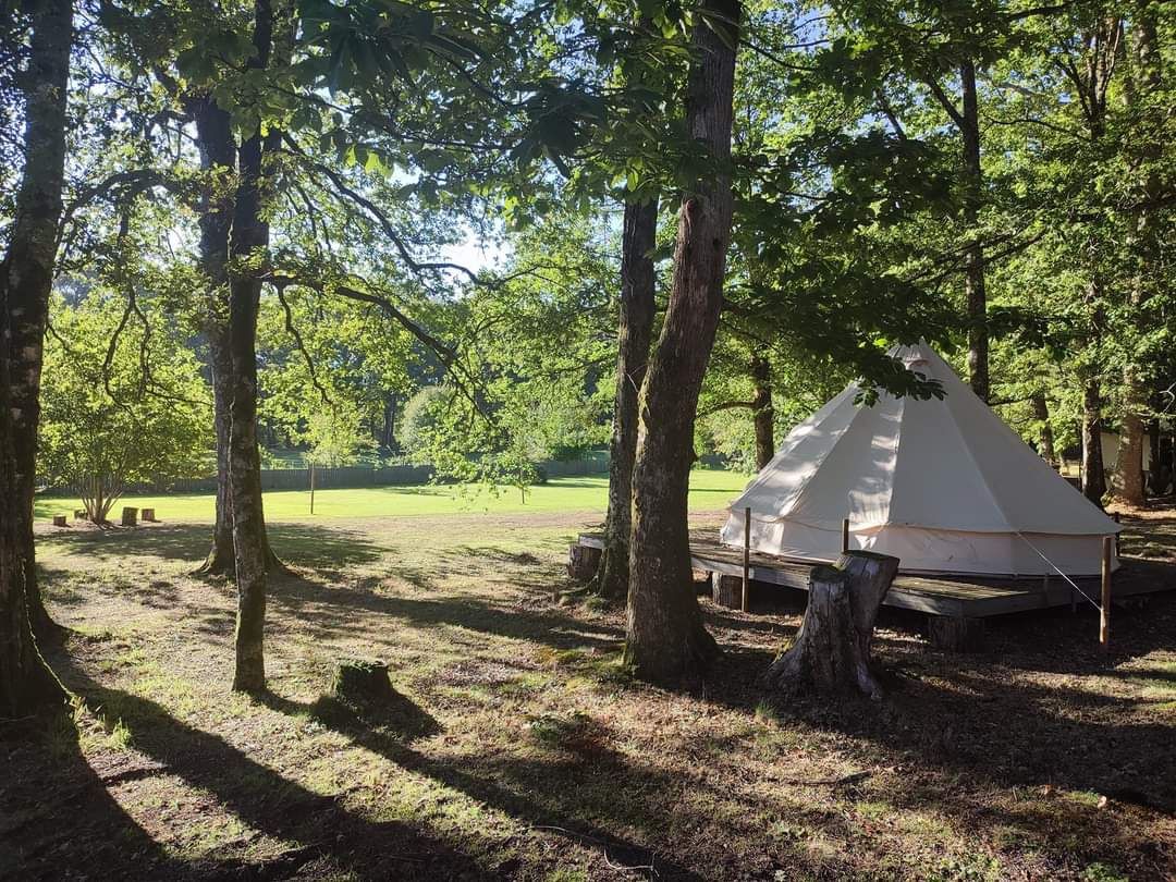 Bell tent - Lacerta