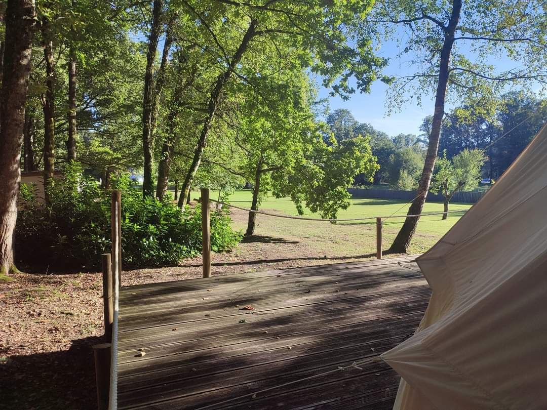 4x Bell tents - Apus, Grus, Lacerta and Pavo