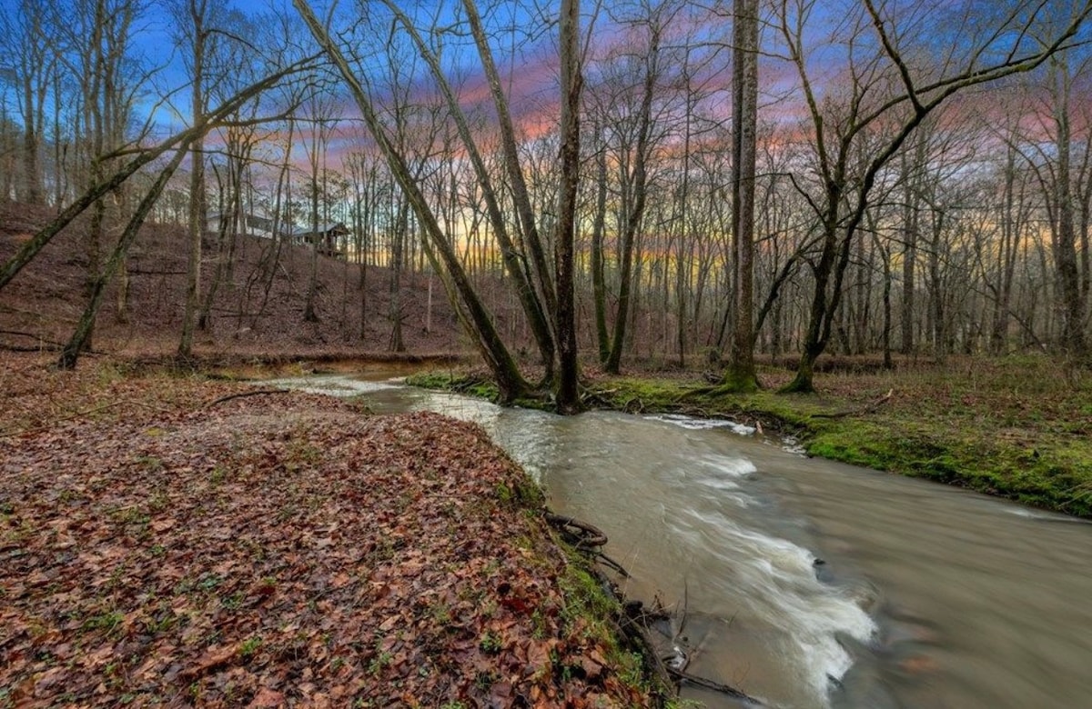 Ellijay River Cabin, 5 acres+Orchards & Wineries