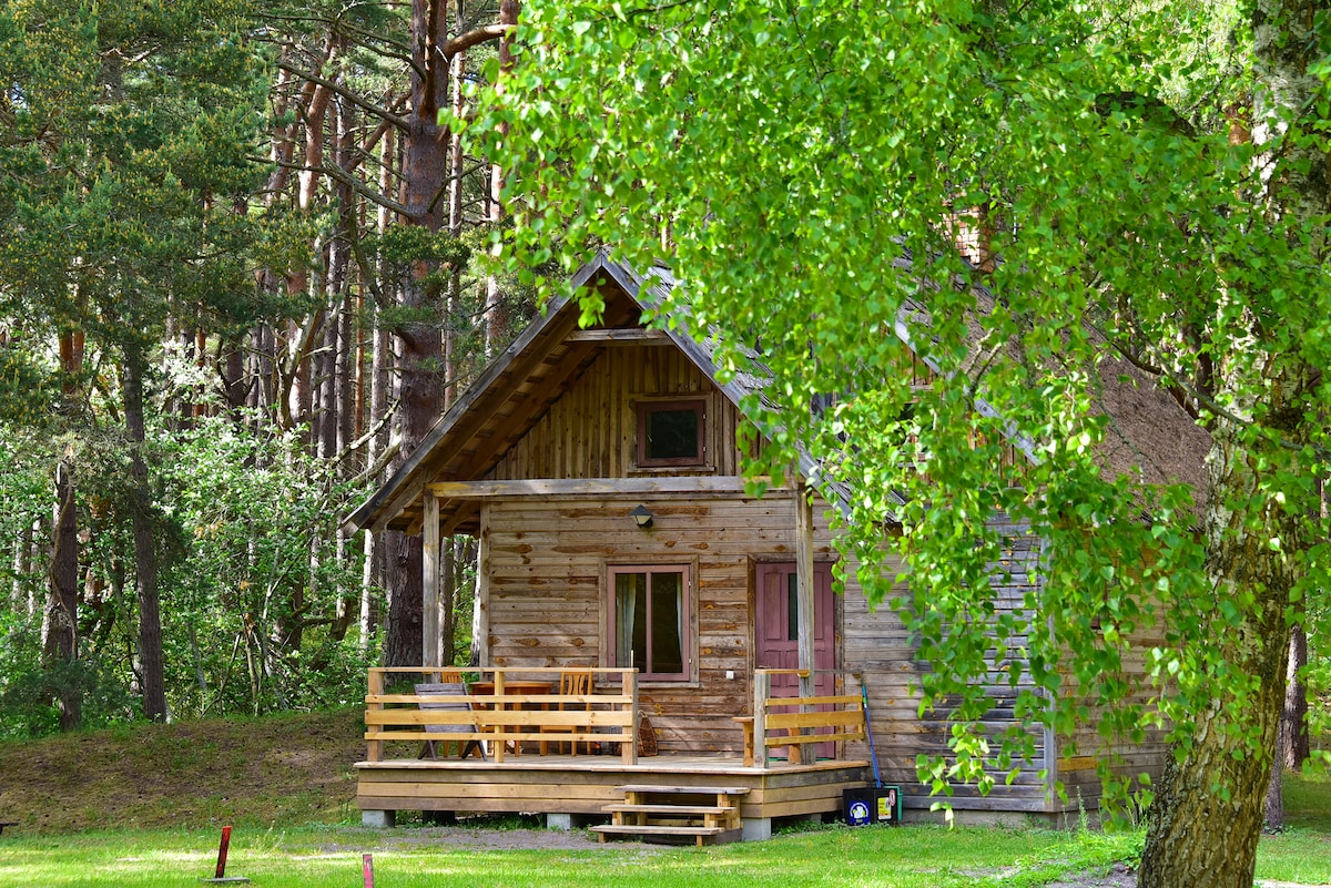 House in the forest steps away from sea.