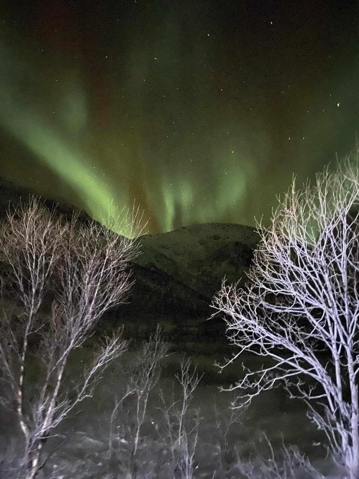 Eventyrøya Senja - Lysens