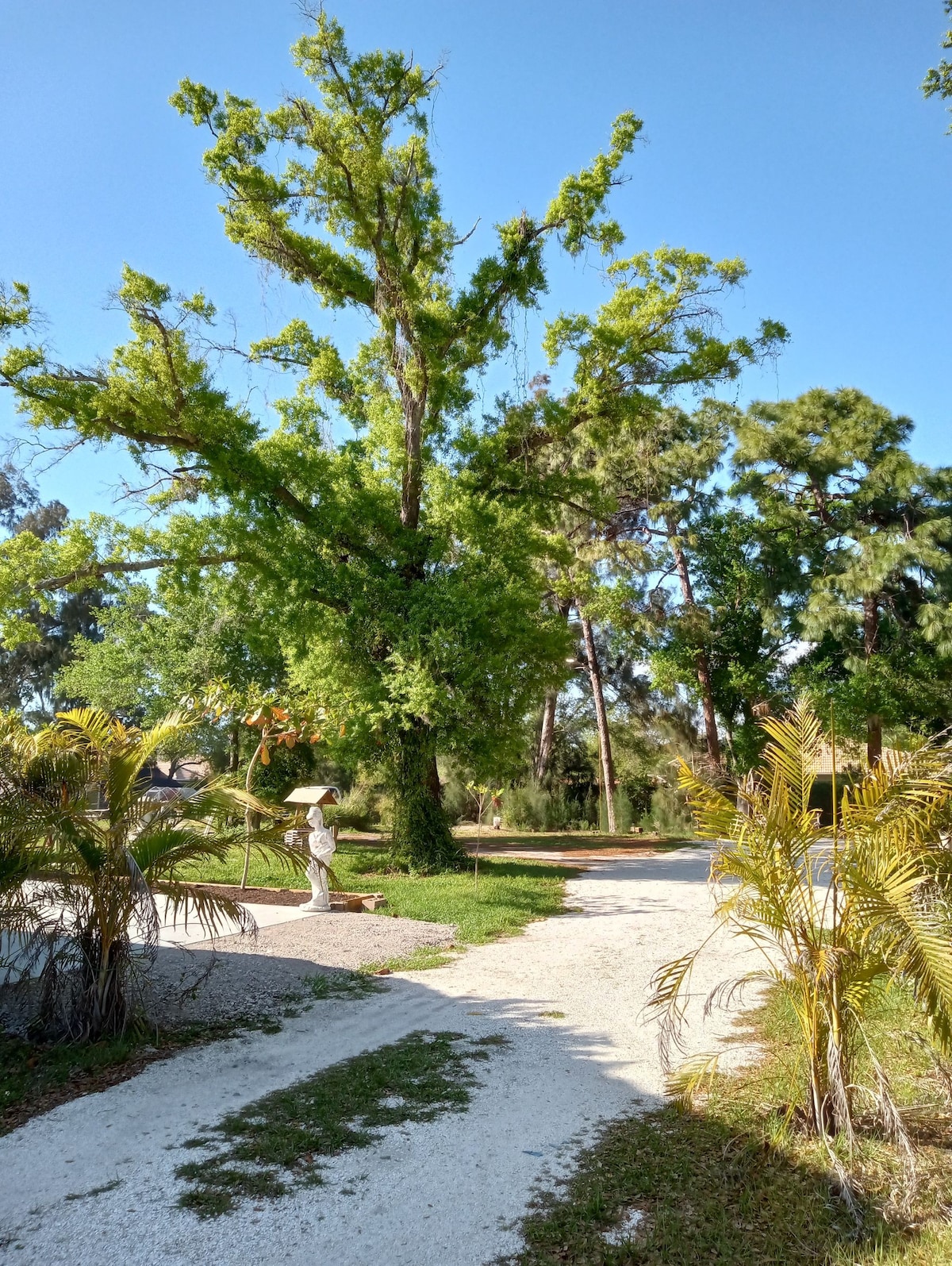 优雅的客房，距离所有地方仅几分钟路程