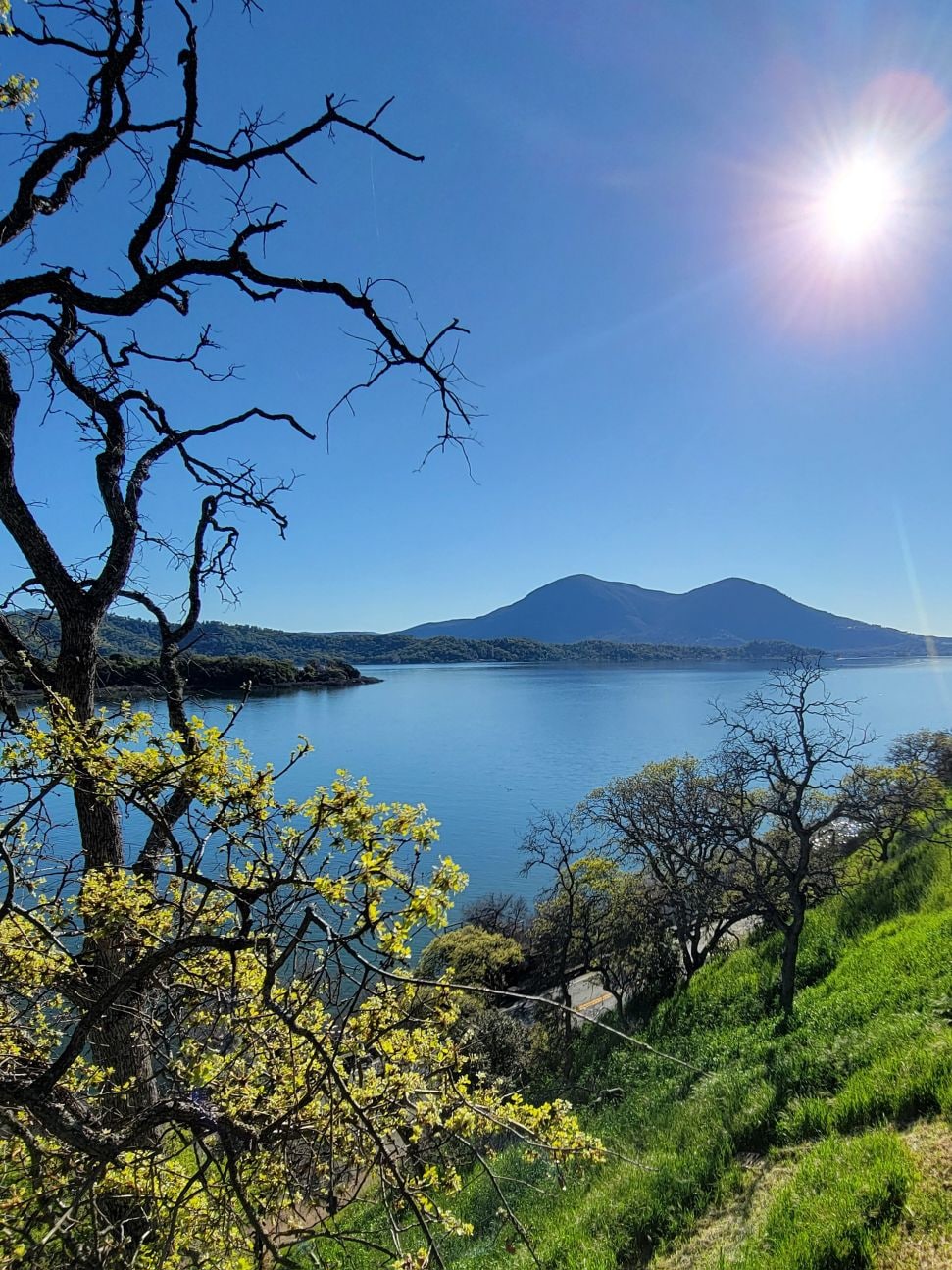 橡树山小屋（ Oak Hill Cottage ） ：无线网络，景