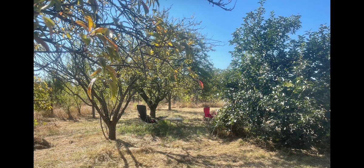 The White House ECO Lodge