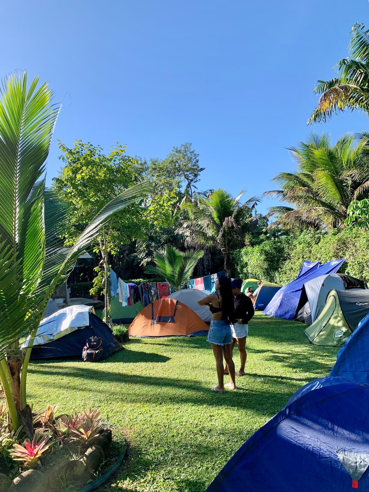 Camping Flora