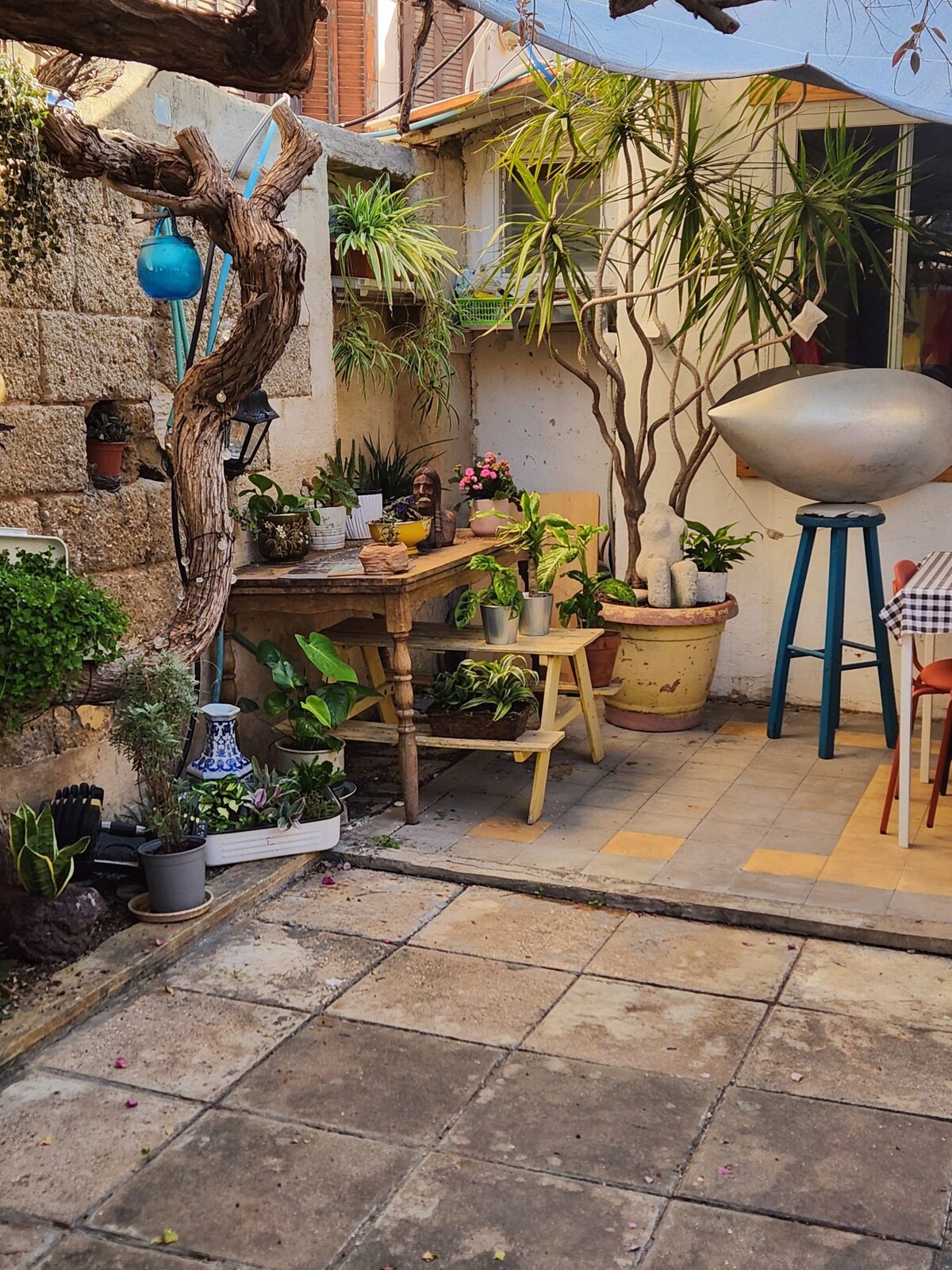 magical Jaffa garden house