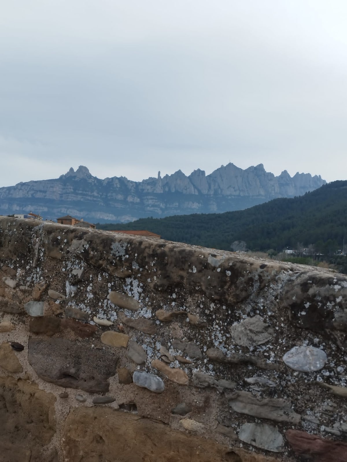 Apartment near Montserrat with train access