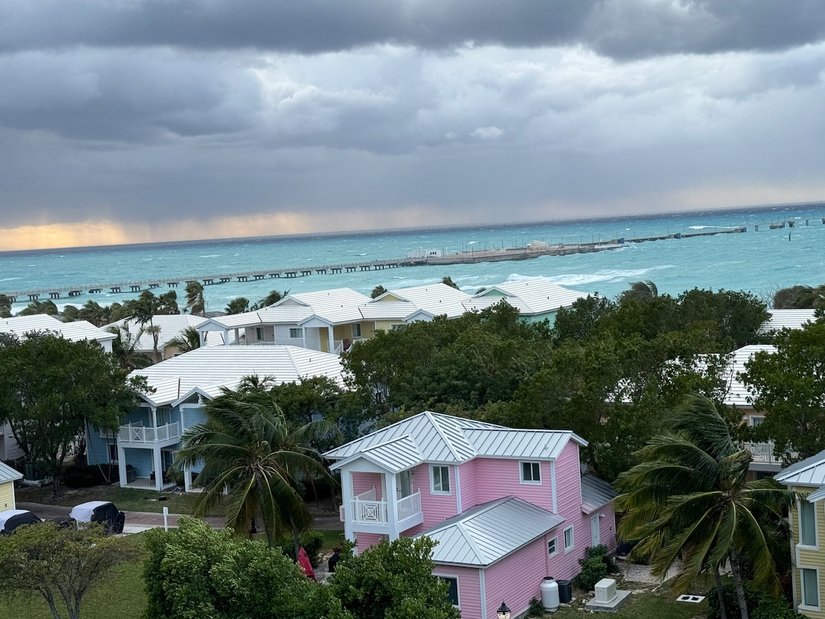 Paradise Found-Bimini Bay, BS