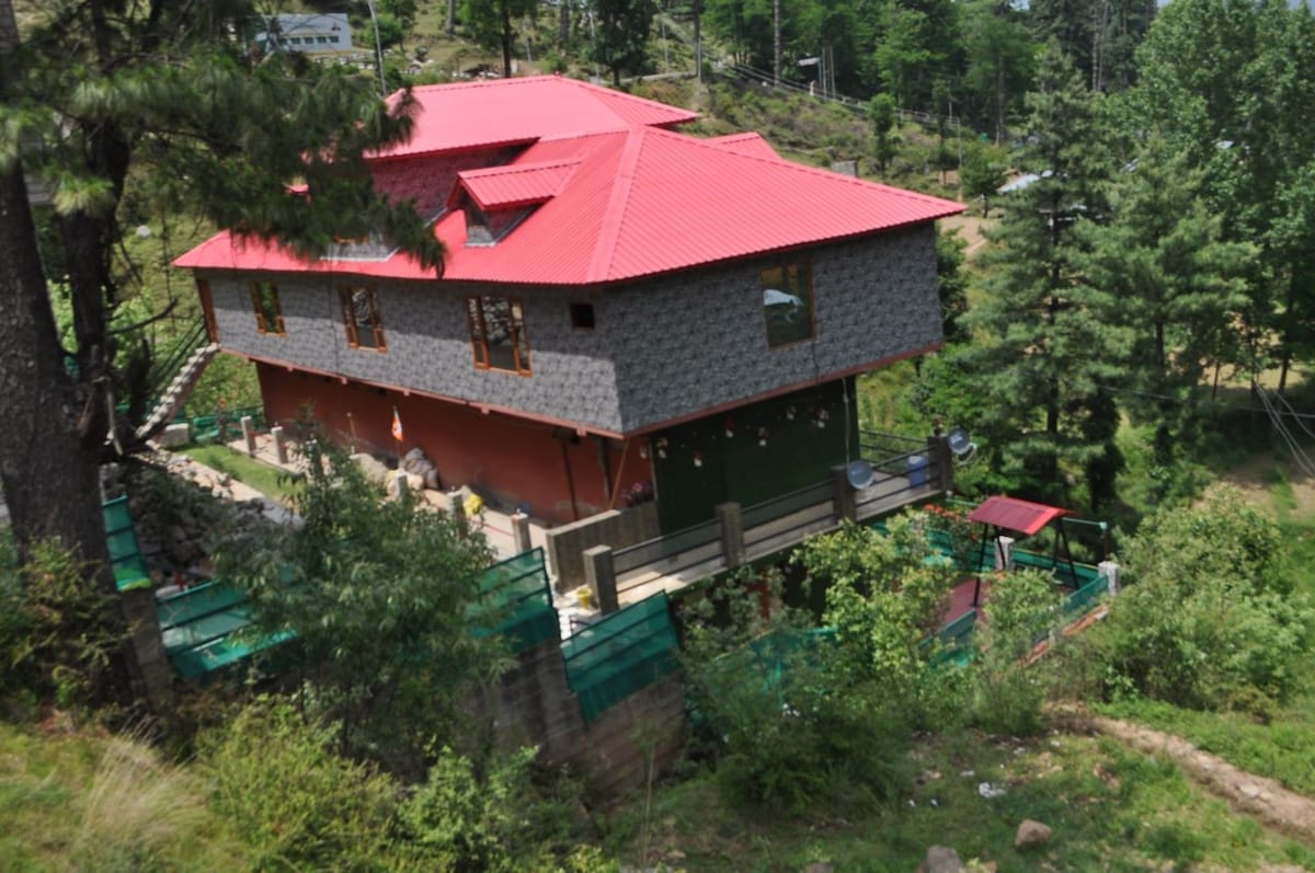 safaya guest house