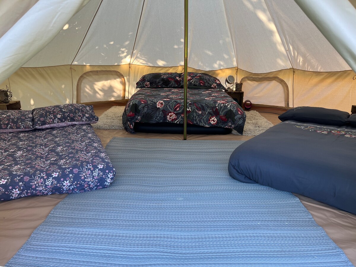 Bell Tent in the garden.