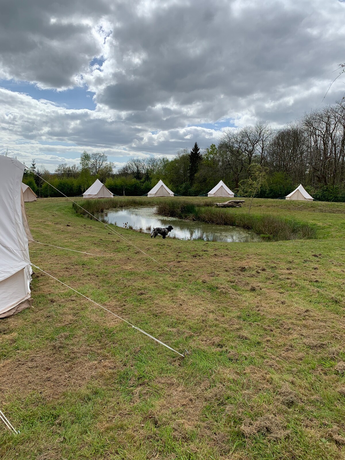 15 Bell Tents with double beds