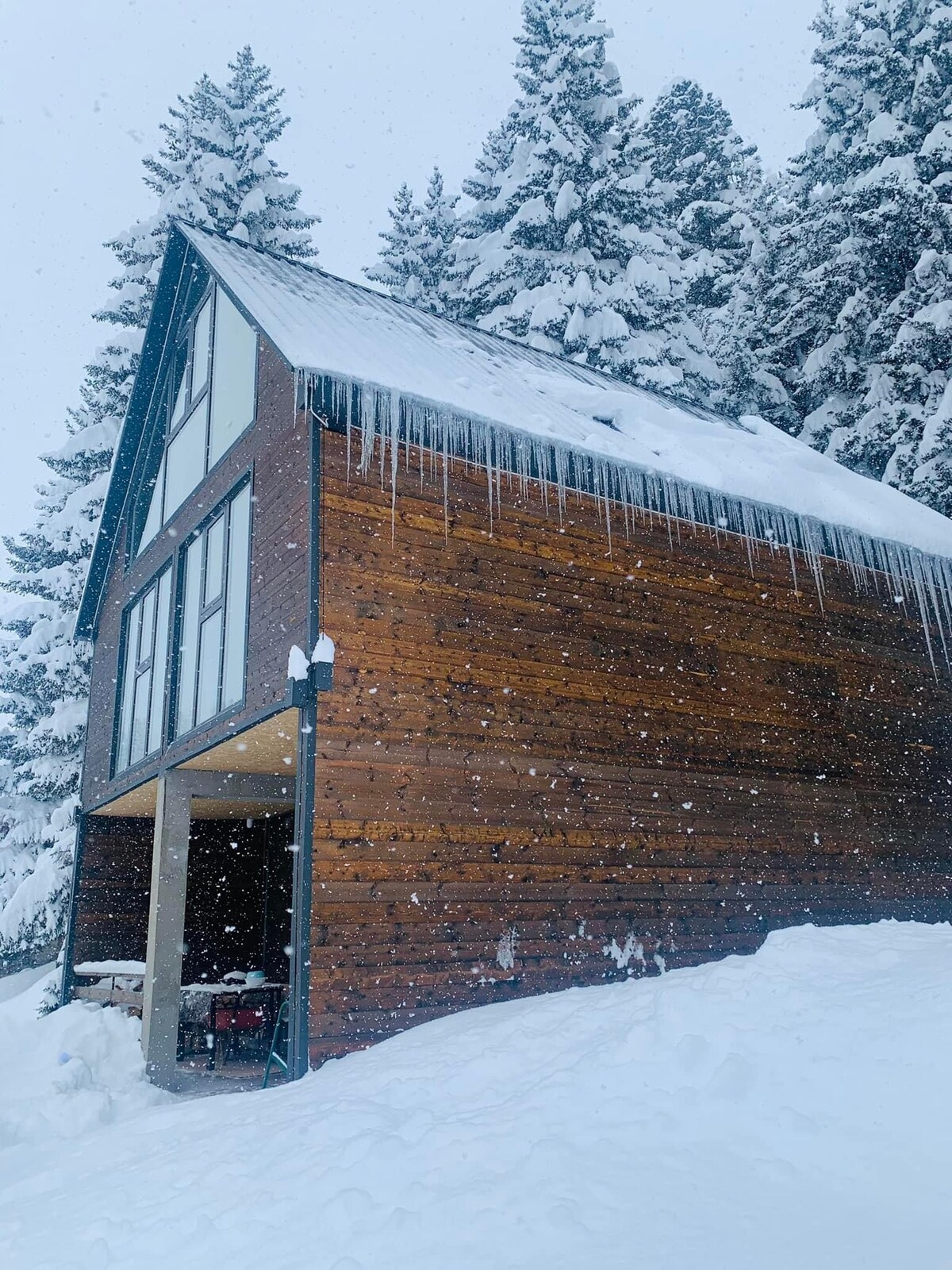 House in the Forest