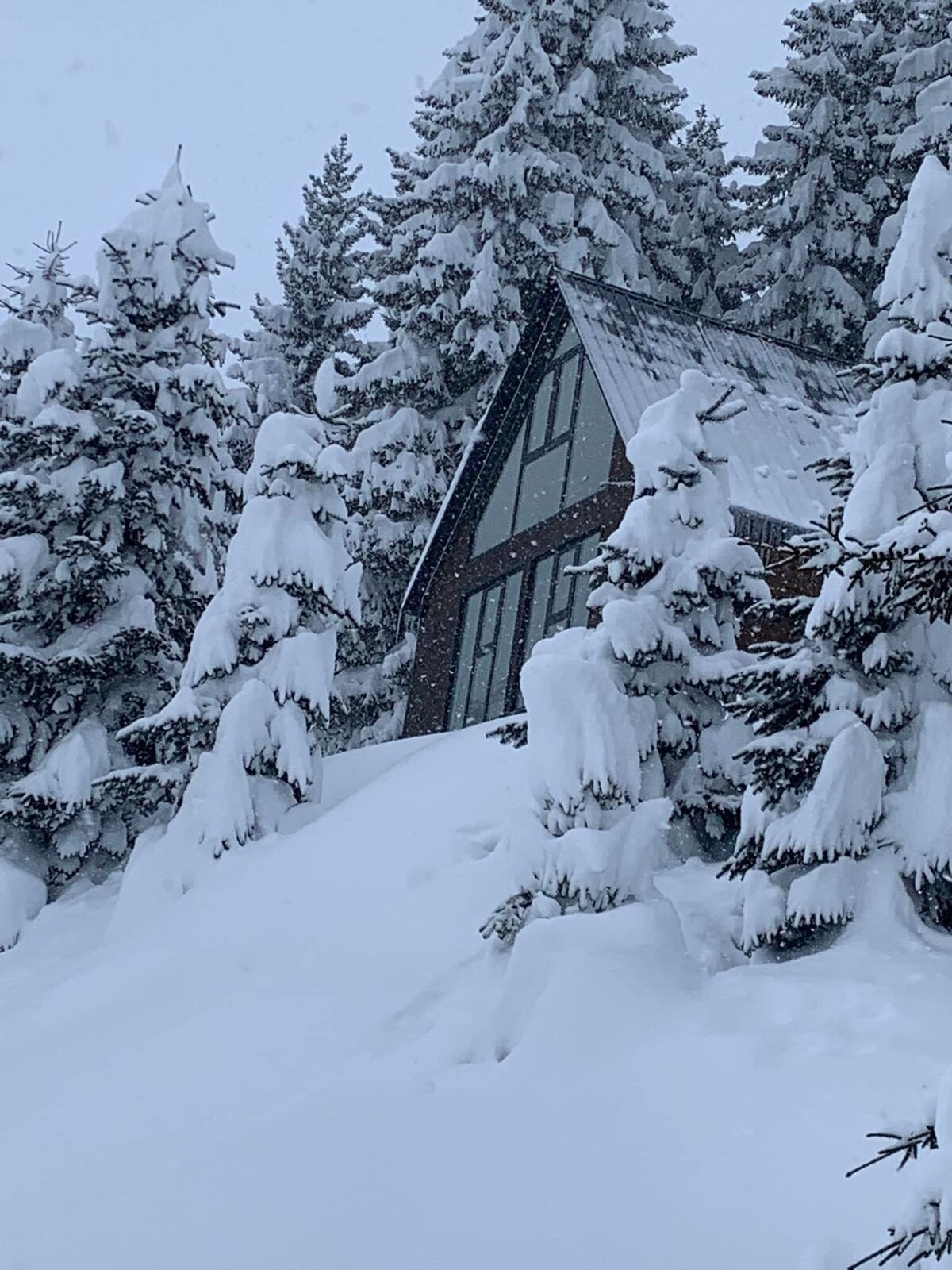 House in the Forest