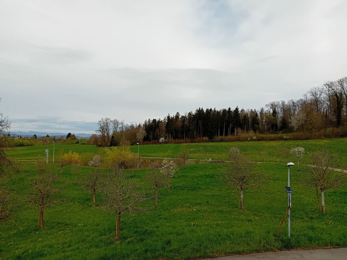 乡村美景： Oberwil-Lieli