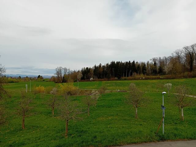 Oberwil-Lieli的民宿