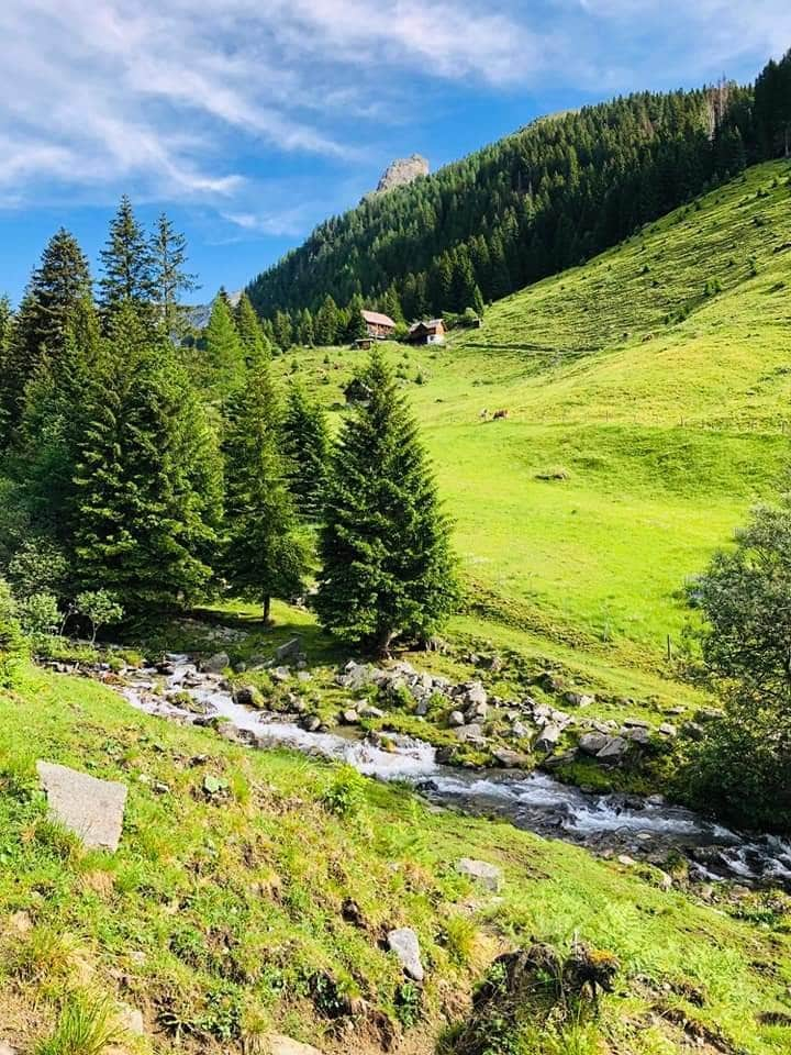 Almhütte im Bergparadies